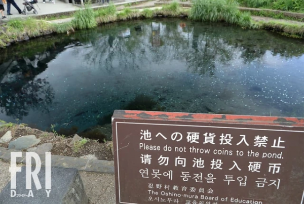 山梨游客热门景点水质恶化 山梨游客热门景点水质恶化