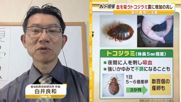 【黄金周期间需格外小心】几年前就已成为社会问题的臭虫,在长假 【黄金周期间需格外小心】几年前就已成为社会问题的臭虫,在长假