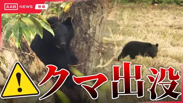 【突发新闻】秋田县由利本庄市一名男子在巡逻稻田时遭到熊袭击受 【突发新闻】秋田县由利本庄市一名男子在巡逻稻田时遭到熊袭击受