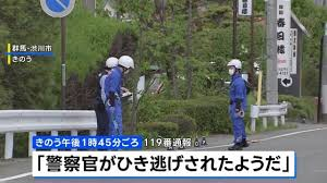 一名男警官在执行标题交通违章的汽车拖行执法时,被一辆拒不停车 一名男警官在执行标题交通违章的汽车拖行执法时,被一辆拒不停车