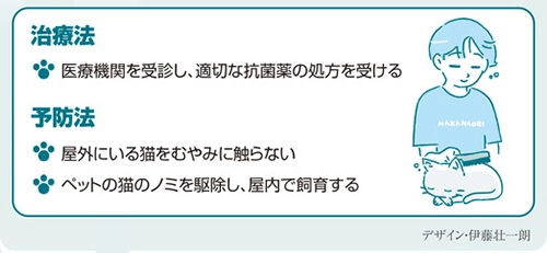 注意!“猫抓病”……淋巴结肿大和发烧。免疫系统较弱的人可能会 注意!“猫抓病”……淋巴结肿大和发烧。免疫系统较弱的人可能会