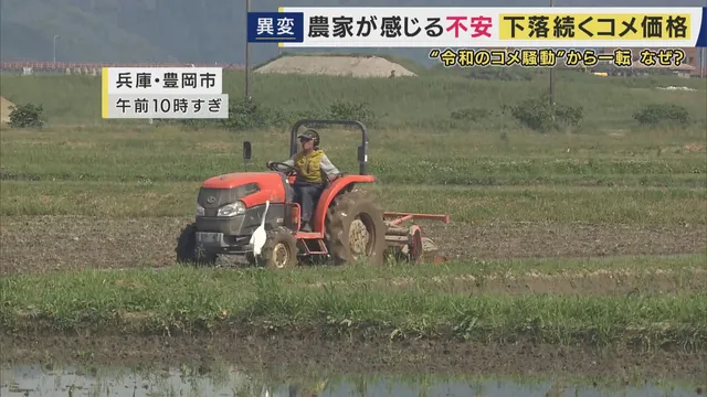 为什么“大米骚动”突然逆转,价格下跌了? 为什么“大米骚动”突然逆转,价格下跌了?
