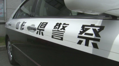 一名男孩被问及“你是谁？你是骗子吗？”后逃跑，随后被警方逮捕