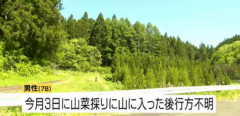 在酒田市发现的一具男性遗体被确认为熊袭击的受害者；这是该县3