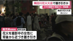 跑去东京游玩挥霍一空，24岁小伙隅田川花火大会趁乱盗窃，趁游