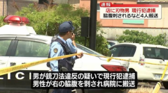 持17厘米长刀夜闯邻居房间，猛刺左肋还要扎胸！53岁无业男涉